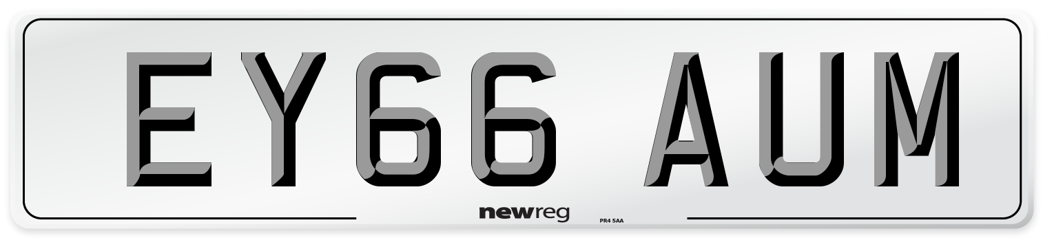 EY66 AUM Number Plate from New Reg